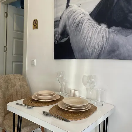 Ciyt 16 Appartement